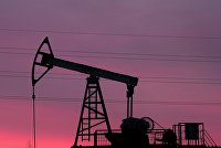 Российский рынок акций закрылся ростом на дорогой нефти - Индексы