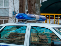 "ОВД-ИНфо": в Москве - новые задержания В Москве полиция задержала регионального менеджера федерального штаба Навального Анну Самкову, сообщает руководитель сети региональных штабов Навального Леонид Волков