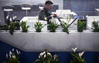 В России число вакансий с частичной удаленкой за год утроилось - Макроэкономика Работа вне офиса