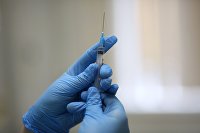 Более 60% россиян готовы вакцинироваться в обмен на преференции - Макроэкономика Вакцинация от коронавируса