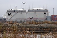 Австрийская OMV сменит главу в сентябре текущего года - Нефть Продажа дизельного топлива в регионах России