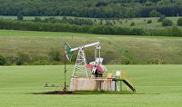Глава "Росгеологии" спрогнозировал, на сколько хватит запасов нефти - Нефть
