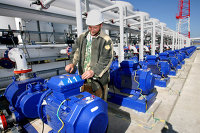 Эколог усомнилась, что последствия разлива нефти устранили за месяц - Нефть КТК