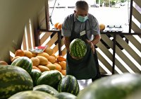 Отклонения норм безопасности у арбузов в магазине Москвы не выявили - Потребрынок Бахчевые развалы в Москве