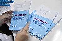 Гинцбург заявил, что побочных эффектов у назальной вакцины от COVID нет - Фармацевтика Вакцинация от COVID-19 в Москве
