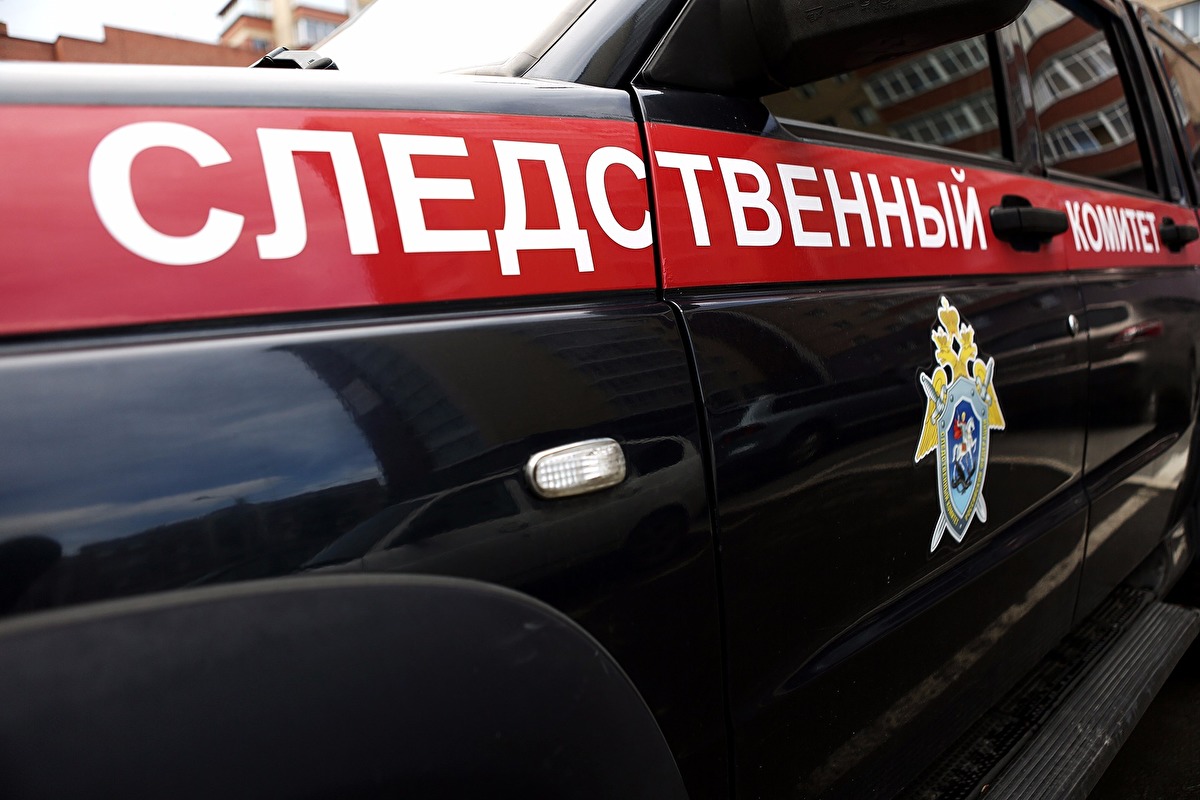 СК проверит, как искали бабушку, которая попала в метель и замерзла насмерть СК проверит, как искали бабушку, которая попала в метель и замерзла насмерть