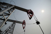 Нигерия рассчитывает развивать сотрудничество с Россией в энергетике - Нефть нефть
