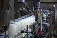 Регионы довели до аграриев 99% федеральных субсидий - Сельское хозяйство Молочно-консервный комбинат