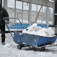 Рост цен на продукты подстегнул интерес россиян к выращиванию овощей дома - Сельское хозяйство Сильный снегопад в Москве