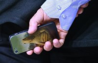 Спрос на телефоны в России перед 14 февраля вырос за год в 5,4 раза - Потребрынок Телефон с рисунком Ждуна