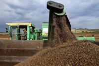 В Минпромторге России оценили риски от сбоев поставок удобрений - Сельское хозяйство Уборка урожая гречки