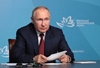 Кабмин России поддержит четыре сектора аграрно-промышленного комплекса - Сельское хозяйство В. Путин