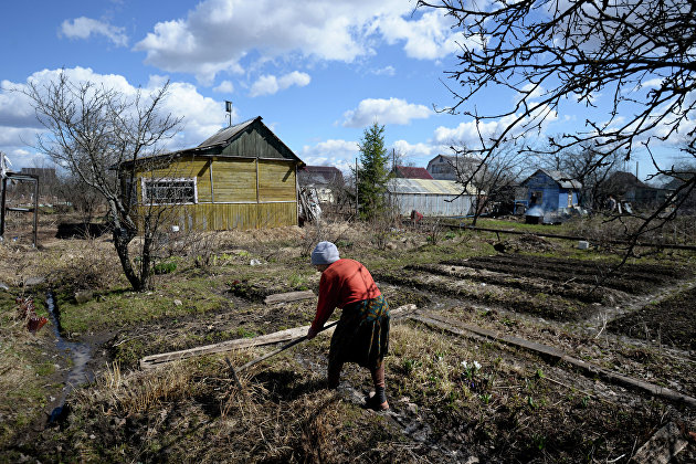 В России резко вырос спрос на товары для дачи - Недвижимость В России резко вырос спрос на товары для дачи - Недвижимость
