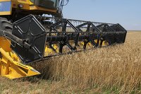 Порт Скадовска Херсонской области может уже осенью начать отгрузку зерна - Транспорт Уборка зерновых в Крыму