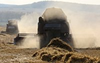 Италия призвала G7 предотвратить нехватку продовольствия из-за Украины - Макроэкономика Уборка урожая зерновых в Красноярском крае