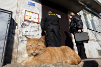 Количество потенциальных банкротов в России достигло 447 тысяч человек - Макроэкономика Какие долги не спишет даже банкротство