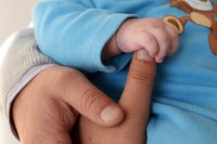 Россиянам стало проще покупать жилье с помощью маткапитала - Недвижимость маткапитал