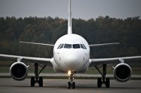 Мишустин разрешил применять к авиадебоширам пластиковые наручники и ремни - Транспорт Самолет в аэропорту Домодедово