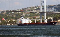 США купят украинское зерно для гуманитарной помощи Африке, заявил Блинкен - Сельское хозяйство Сухогруз Razoni с украинским зерном в Стамбуле