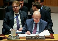 Посольство России в США: санкции пагубно сказались на продовольствии - Макроэкономика Василий Небензя на заседании Совета безопасности ООН