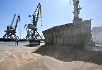 Из украинских портов вышли 17 судов в рамках продуктовой сделки - Сельское хозяйство Разгрузка контейнера с пшеницей в порту