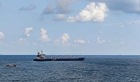 Источник рассказал о работе по обеспечению экспорта агропродукции России - Сельское хозяйство Сухогруз Razoni с украинским зерном