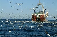 Эксперт оценил возможности России в производстве сырья для крабовых палочек - Потребрынок Вылов водных биоресурсов рыбаками РФ