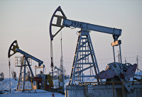 России нужно добывать нефть и газ при зеленой повестке, считает эксперт - Нефть Нефтяные качалки в Татарстане