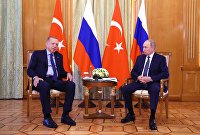 Путин отметил важность устранения барьеров для российского экспорта - Сельское хозяйство Президент РФ Владимир Путин и президент Турции Реджеп Тайип Эрдоган