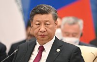 Генсек ШОС призвал укрепить сотрудничество с АСЕАН - Макроэкономика Председатель КНР Си Цзиньпин