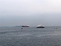 Цены на зерно могут подскочить после взрыва в Турции, считает аналитик - Сельское хозяйство Босфор