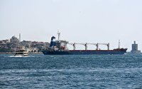 Источник рассказал об устных гарантиях для России в рамках зерновой сделки - Сельское хозяйство Сухогруз Razoni с украинским зерном в Стамбуле