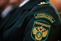 Россиян предупредили о появлении мошеннических приложений в App Store - ИТ-Бизнес Росприроднадзор