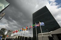 Французы выявили украинский продукт, который мешает им жить - Сельское хозяйство Заседание Генассамблеи ООН