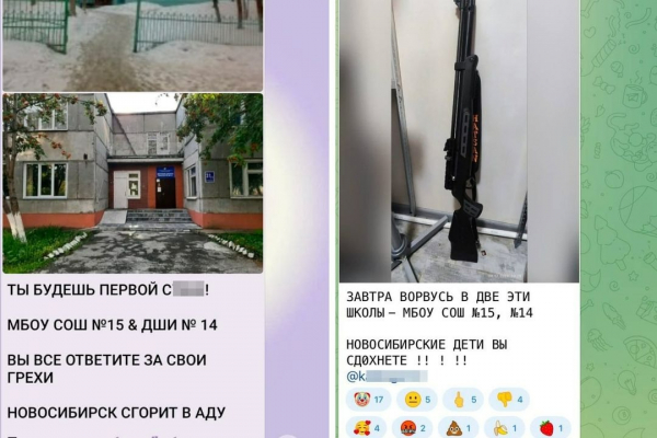 «Дети, вы сдохнете!»: школам Новосибирска массово угрожают в социальных сетях «Дети, вы сдохнете!»: школам Новосибирска массово угрожают в социальных сетях