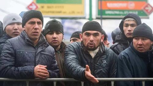 Приамурье доказало, что без мигрантов вполне можно обойтись Приамурье доказало, что без мигрантов вполне можно обойтись