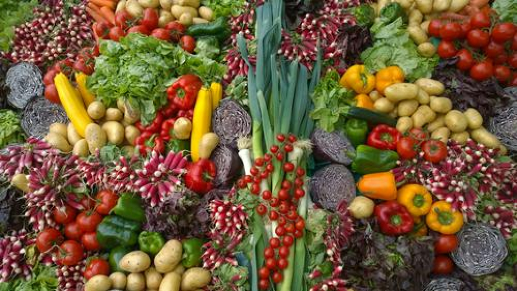 Долгожители рассказали, какой продукт они употребляют ежедневно Долгожители рассказали, какой продукт они употребляют ежедневно