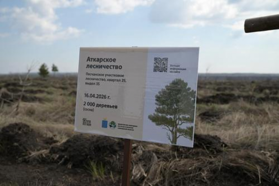 В Саратовской области прошла акция по лесовосстановлению В Саратовской области прошла акция по лесовосстановлению